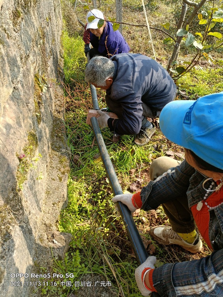 廣元旺蒼黃茶種植園項(xiàng)目