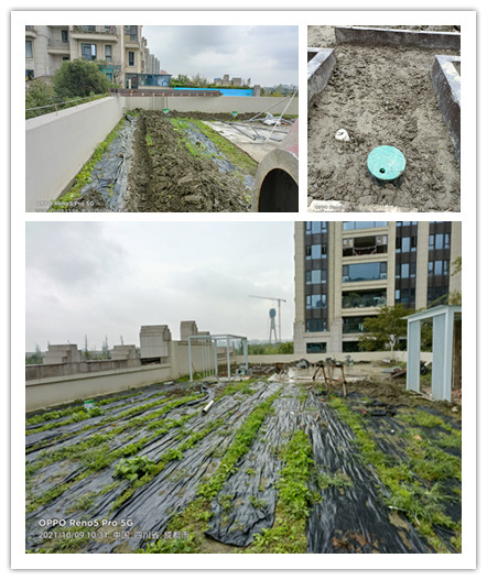 成都武侯區(qū)別墅花園項(xiàng)目