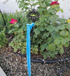 蝶形旋轉(zhuǎn)噴頭