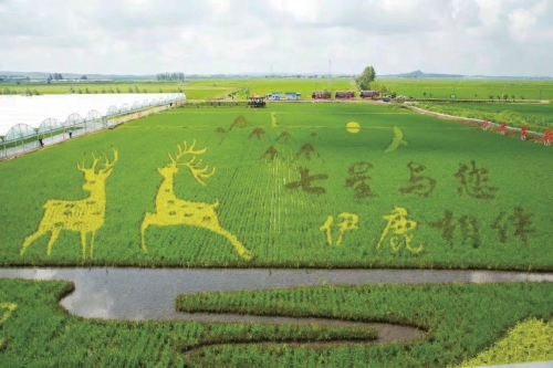 讓飯碗里裝更多“吉林糧”