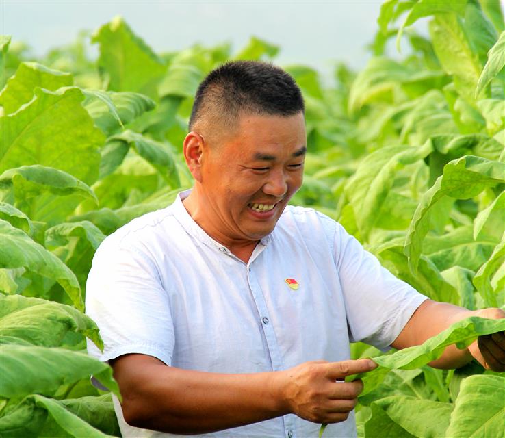 村黨支部書(shū)記劉金國(guó)：村社一體蹚出“金葉致富路”