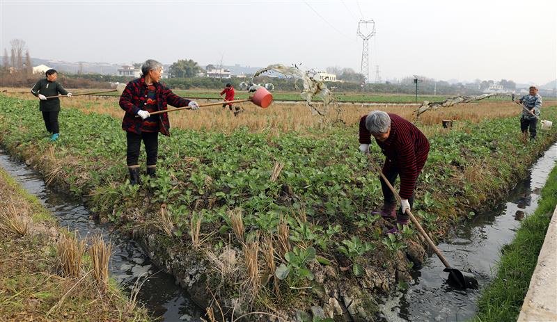 四川丹棱：人勤春早備耕忙 多措并舉來(lái)護(hù)航