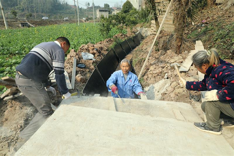 丹棱縣里仁社區(qū)在修繕農(nóng)田水利設(shè)施。